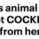Via Daily Mail